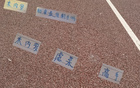 申花米內(nèi)羅13輪最佳搭配劉誠宇，前鋒表現(xiàn)至關重要。