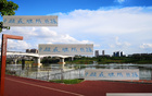 中超頭號難防前鋒，青島外援勝出，非海港萊納多，乃申花米內(nèi)羅。