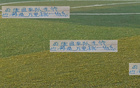 申花老手，大場面經(jīng)驗豐富，曾挖厄德高，今又尋米內(nèi)羅。