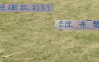 申花特謝拉傷缺，國家隊(duì)無礙，反家傷兩人。