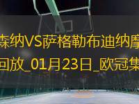 01月23日歐冠聯(lián)賽階段第7輪阿森納vs薩格勒布迪納摩進(jìn)球視頻