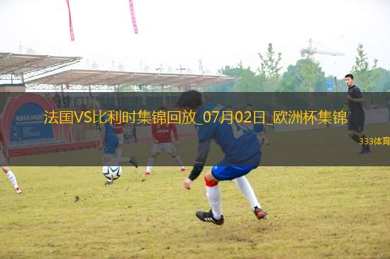 07月02日歐洲杯1/8決賽法國(guó)vs比利時(shí)精彩片段