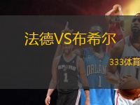 法德VS布希爾