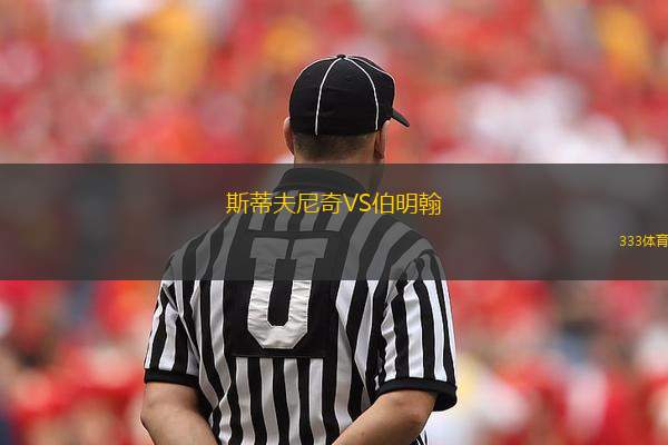 斯蒂夫尼奇VS伯明翰