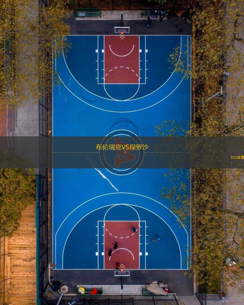 布倫瑞克VS保羅沙