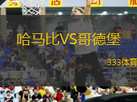 哈馬比VS哥德堡