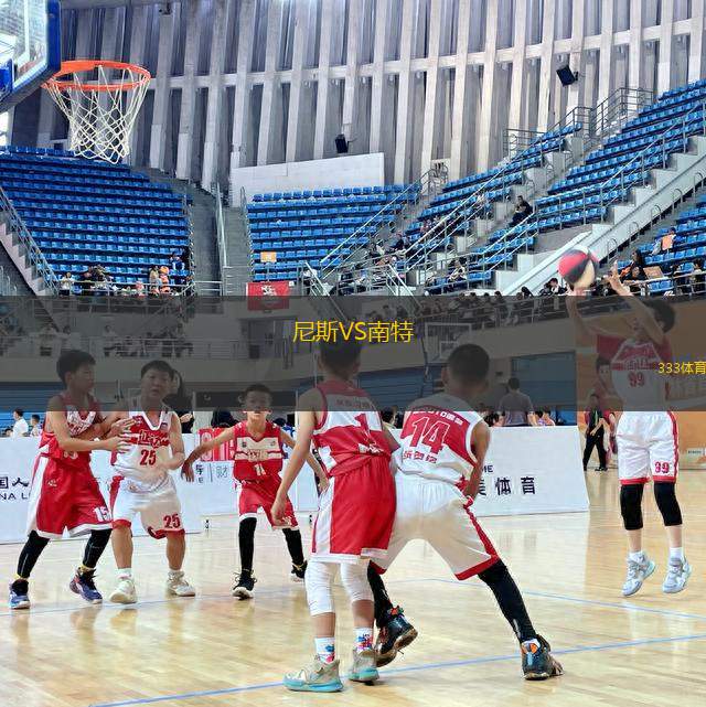 尼斯VS南特