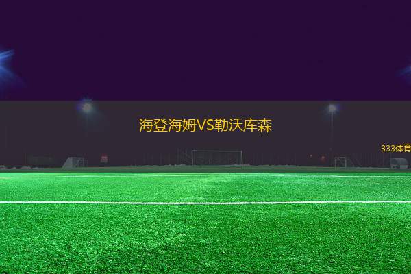 海登海姆VS勒沃庫森