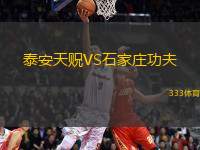 泰安天貺VS石家莊功夫