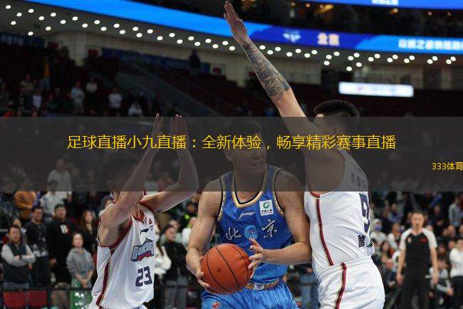 足球直播小九直播：全新體驗，暢享精彩賽事直播