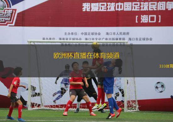 歐洲杯直播在體育頻道