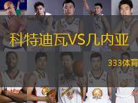 科特迪瓦VS幾內(nèi)亞