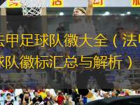 法甲足球隊徽大全（法甲球隊徽標匯總與解析）