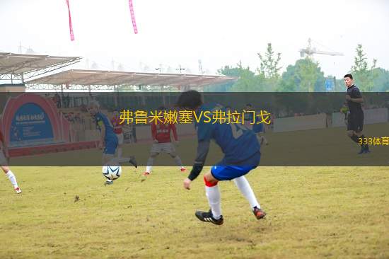 弗魯米嫩塞VS弗拉門戈