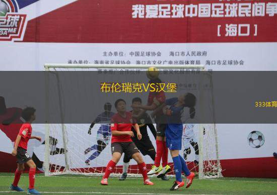 布倫瑞克VS漢堡
