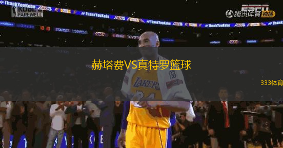 赫塔費(fèi)VS真特羅籃球