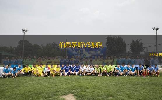 伯恩茅斯VS狼隊(duì)